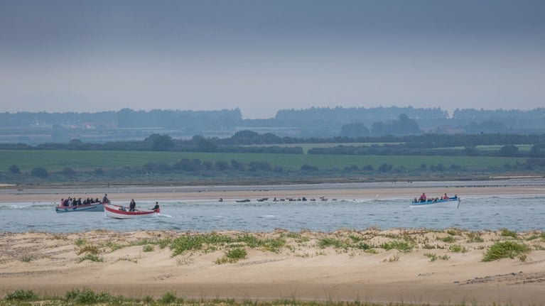 Boats observe seals from a distance at Blakeney Point in Norfolk